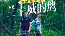 卡哇伊拳击手